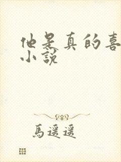 他是真的喜欢你小说