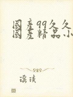 国产99久久久国产精品小说