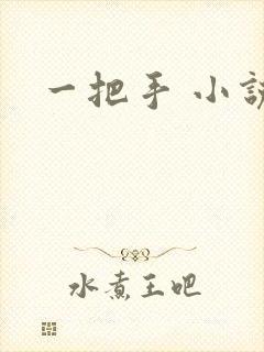 一把手 小说