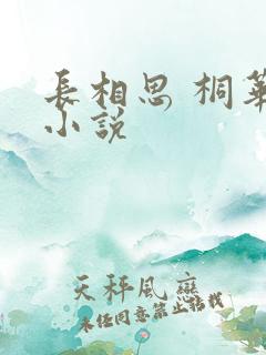 长相思 桐华 小说