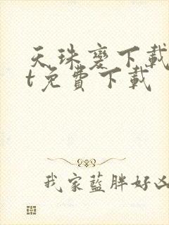 天珠变下载txt免费下载