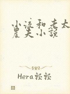 小流和老太69农夫小说