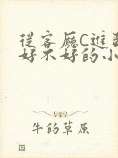 从客厅C进卧室好不好的小说