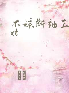 不嫁断袖王爷txt