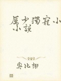 厉少独宠小娇妻 小说