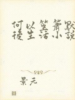 何以笙箫默之婚后生活小说