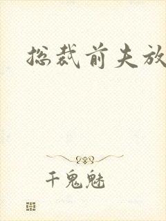 总裁前夫放了我