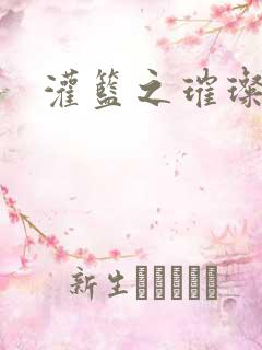 灌篮之璀璨生涯