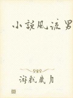 小说风流男护理