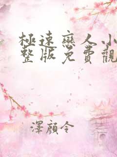 极速恋人小说完整版免费观看