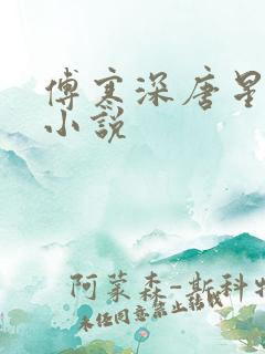 傅寒深唐星挽的小说