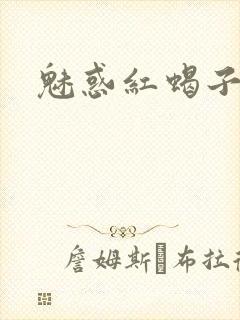 魅惑红蝎子