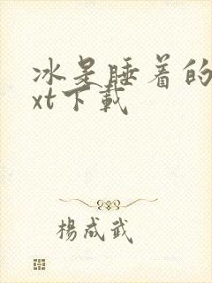 冰是睡着的水txt下载