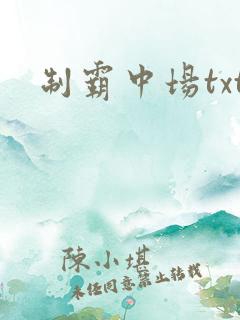 制霸中场txt