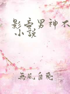 影帝男神不节制 小说