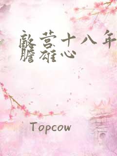 敌营十八年2虎胆雄心