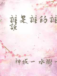 谁是谁的谁 小说