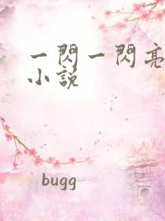 一闪一闪亮星星小说