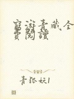 穷游青藏全文免费阅读