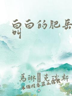 白白的肥岳嗷嗷叫