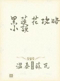 黑莲花攻略手册小说