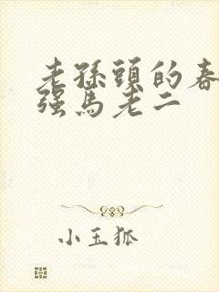 老孙头的春天马强马老二