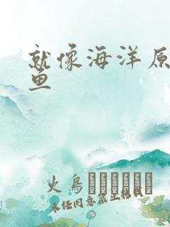 就像海洋原谅了鱼