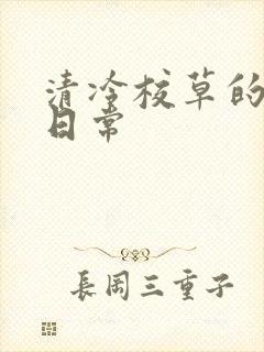 清冷校草的抹布日常