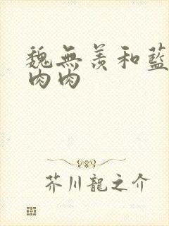 魏无羡和蓝忘机肉肉