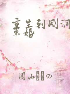 重生到刚洞房的军婚