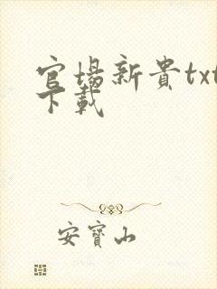 官场新贵txt下载