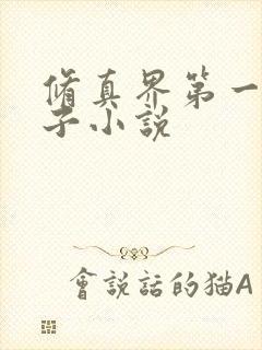 修真界第一病秧子小说