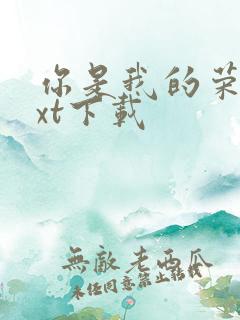 你是我的荣耀txt下载