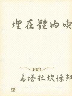 埋在体内吃饭h