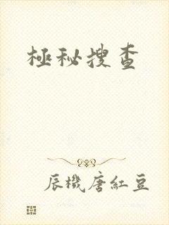 极秘搜查