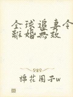 全球追妻令老婆离婚无效