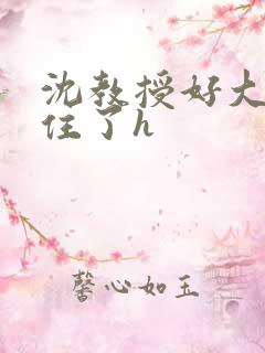 沈教授好大含不住了h