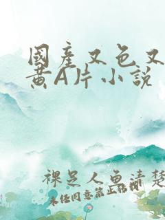 国产又色又爽又黄A片小说