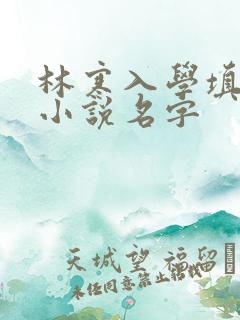 林寒入学填未婚小说名字