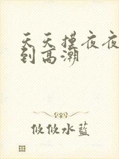 天天摸夜夜摸摸到高潮