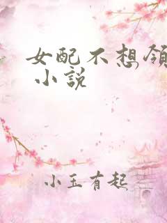 女配不想领便当 小说