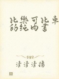 比乐可比车速快的纯肉书