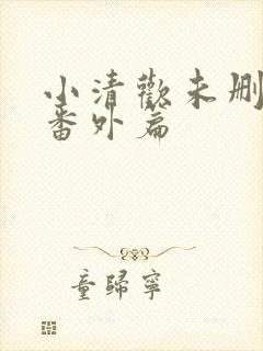 小清欢未删减版番外篇