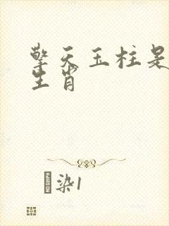 擎天玉柱是什么生肖