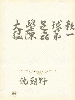 大学足球教练王猛陈磊第一篇