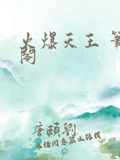 火爆天王 笔趣阁