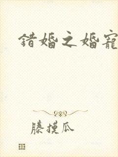 错婚之婚宠一世