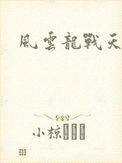 风云龙战天下