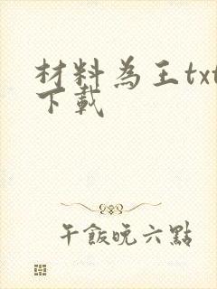 材料为王txt下载