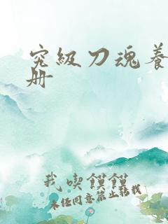 究级刀魂养成手册